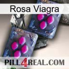 Pink Viagra 01